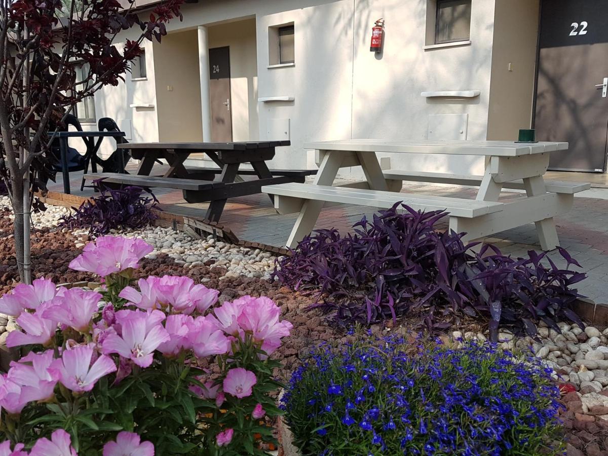 Degania Bet Kibbutz Country Lodging Kinneret Extérieur photo