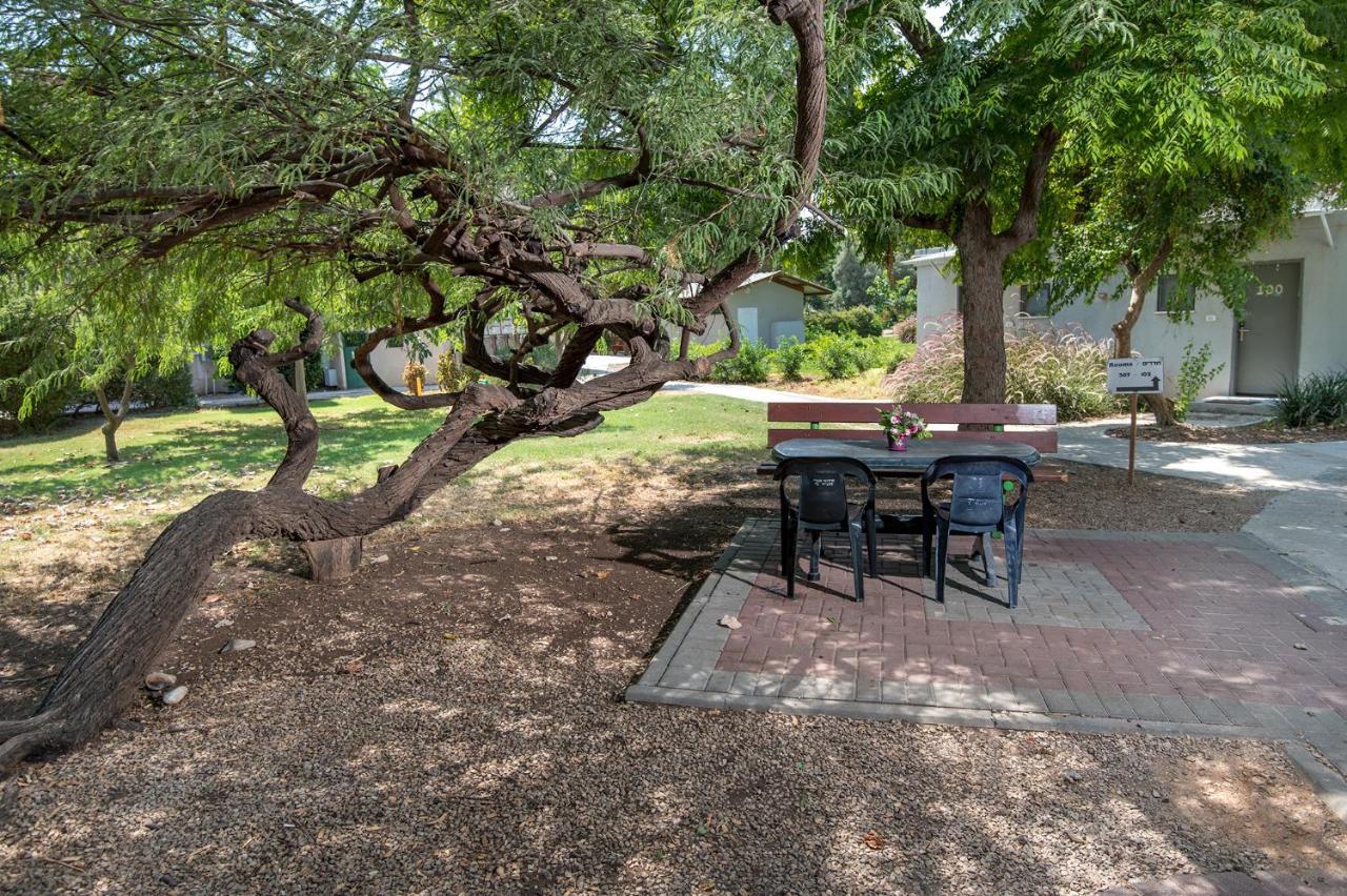 Degania Bet Kibbutz Country Lodging Kinneret Extérieur photo